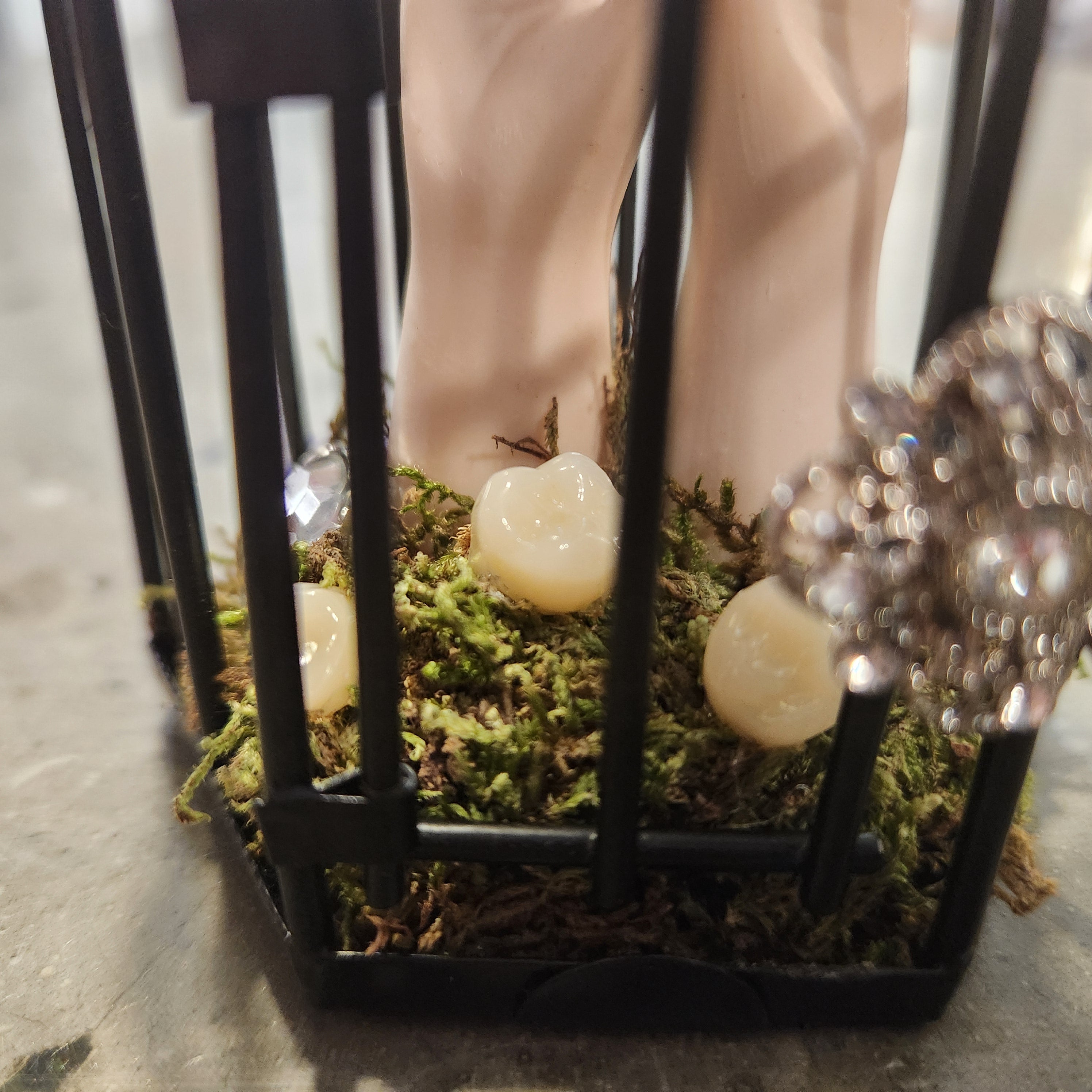 Small Birdcage Vignette