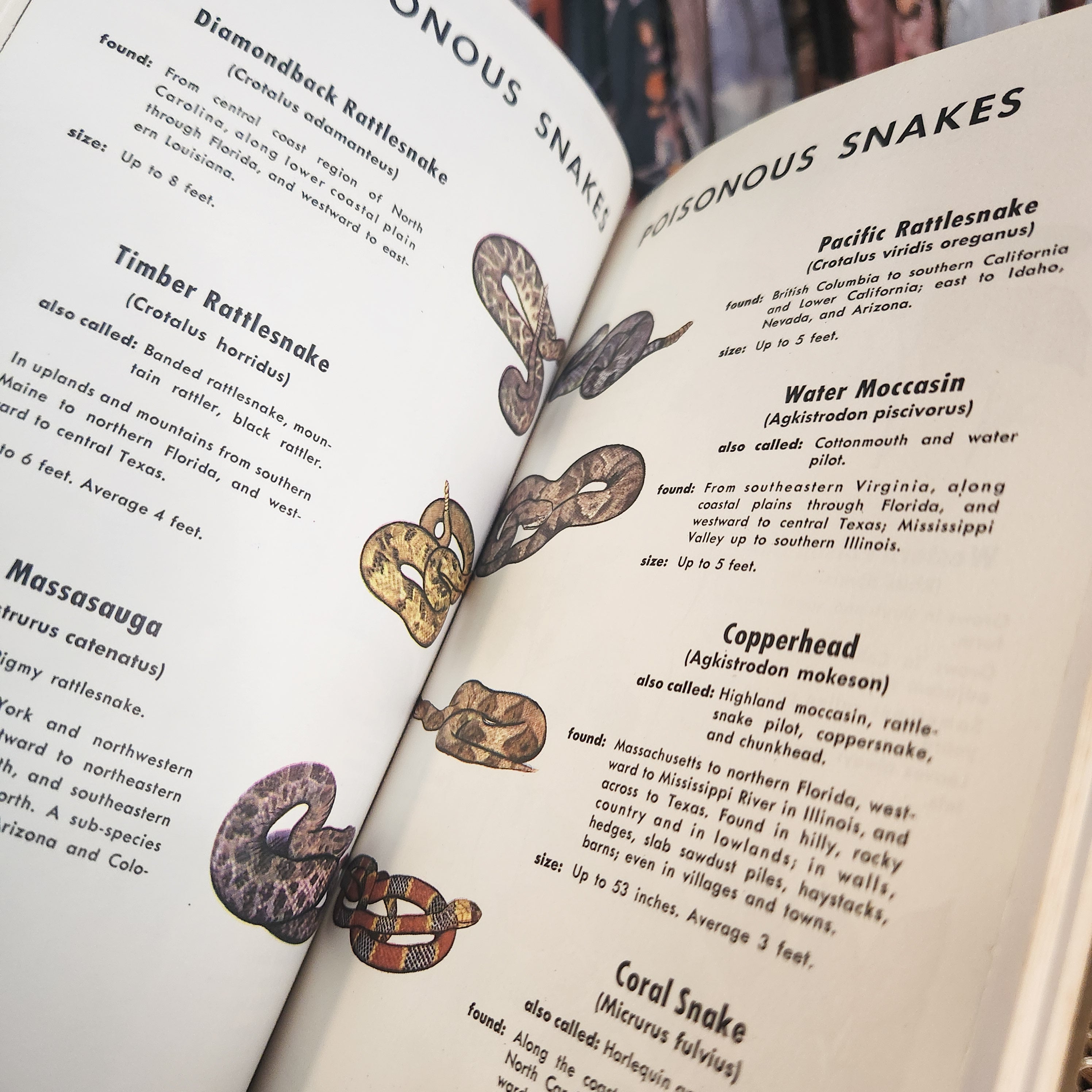 1967 First Aid Handbook