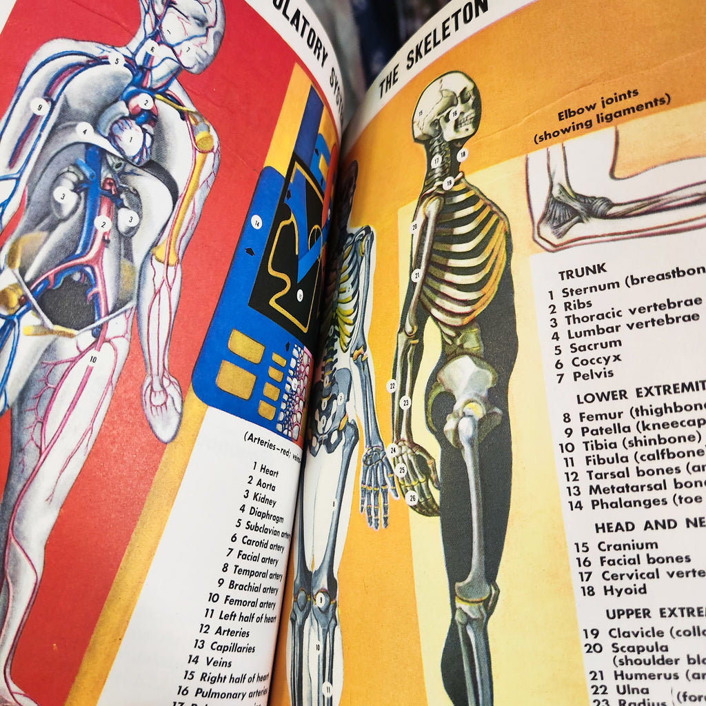 1967 First Aid Handbook